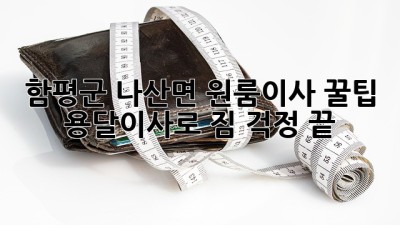 함평군 나산면 원룸이사 꿀팁🍯 용달이사로 짐 걱정 끝!