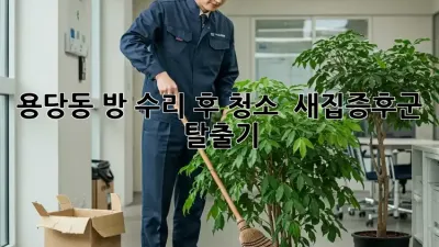 용당동 방 수리 후 청소 ✨ 새집증후군 탈출기!