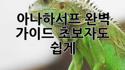 아나하서프 완벽 가이드: 초보자도 쉽게!