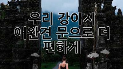 우리 강아지, 애완견 문으로 더 편하게!